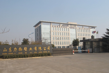 Porcelana Shandong Liyang Plastic Molding Co., Ltd.