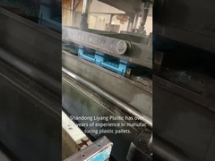 Shandong Liyang Plastic Molding Co., Ltd.